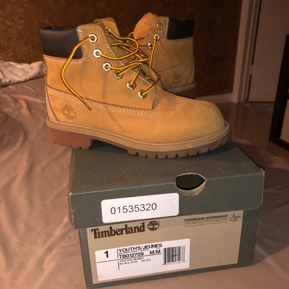 youth timberlands